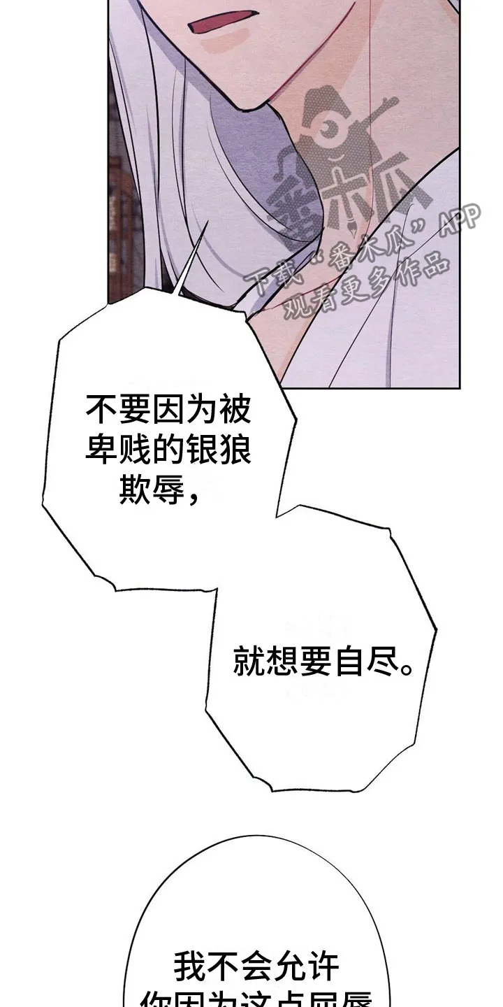 银狼的疼爱漫画漫画,第14章：难以入眠5图