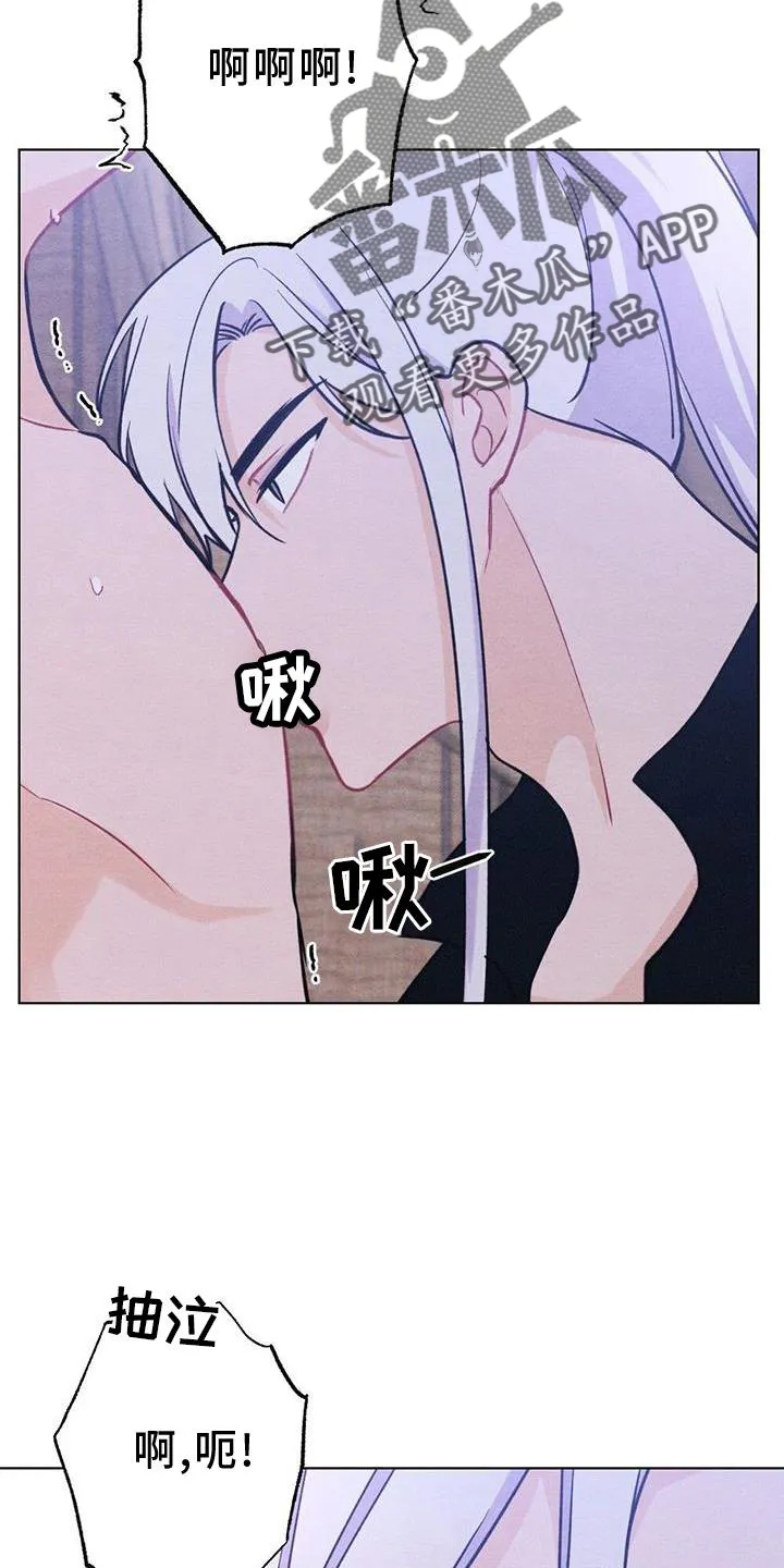 银狼的疼爱免费在线观看漫画,第41章：喜欢2图