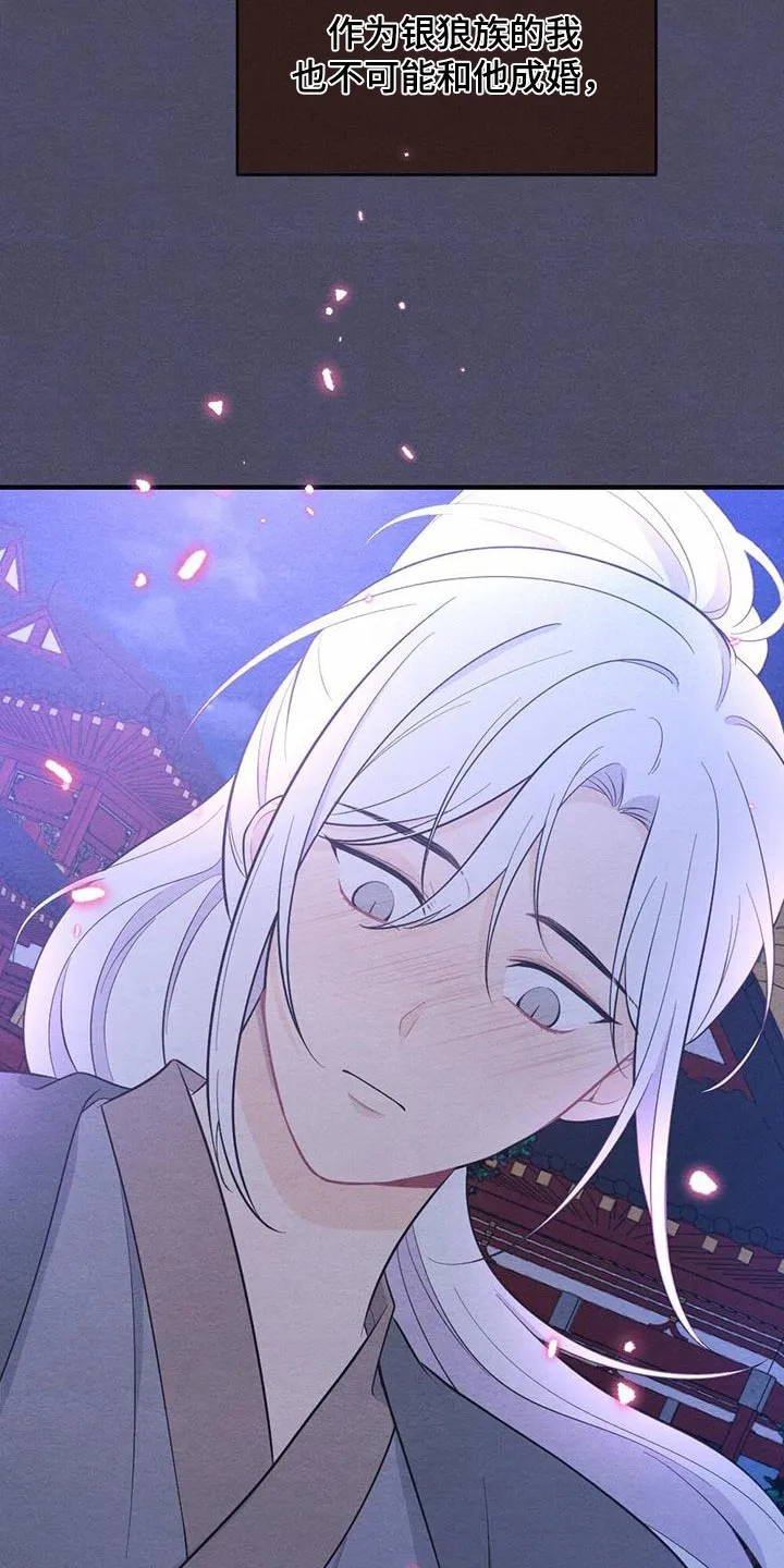 银狼的疼爱漫画漫画,第75章：礼物17图