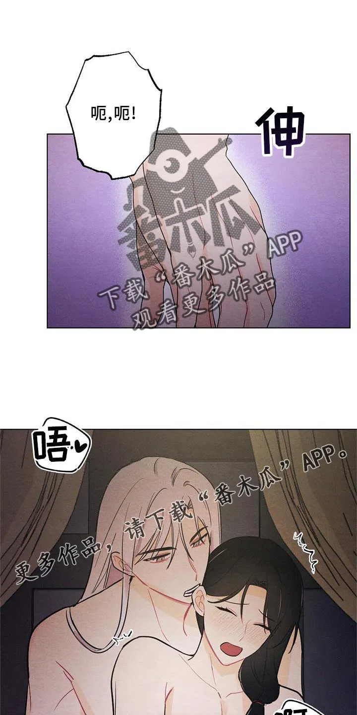 银狼的疼爱漫画漫画,第31章：感觉11图