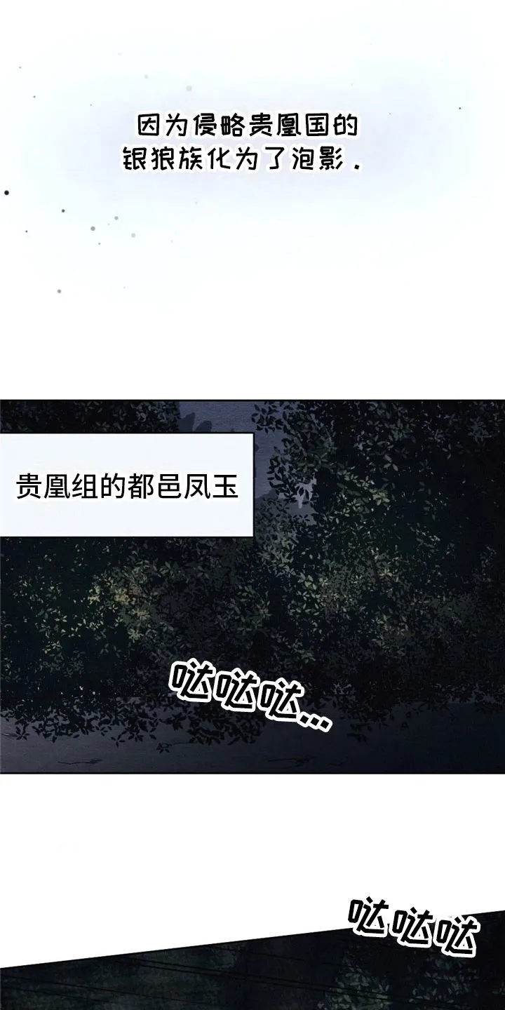 银狼少年漫画微博漫画,第3章：银狼族11图