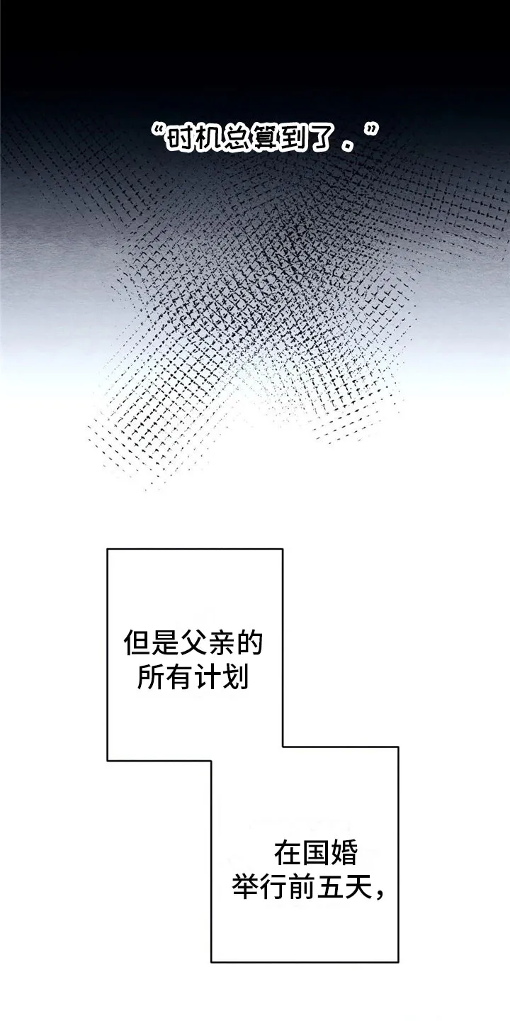 银狼少年漫画微博漫画,第3章：银狼族10图