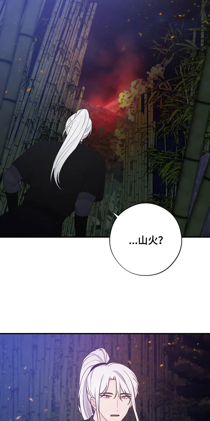银狼少年漫画免费观看38话漫画,第102章：山火33图