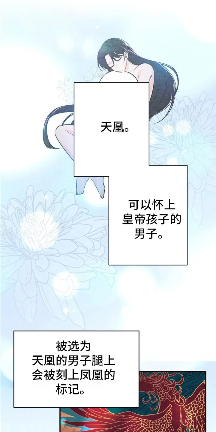 银狼的疼爱漫画漫画,第2章：天凰1图