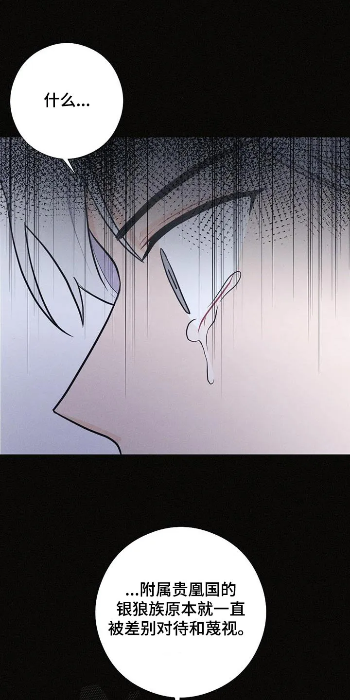 银狼的疼爱漫画漫画,第78章：背叛21图