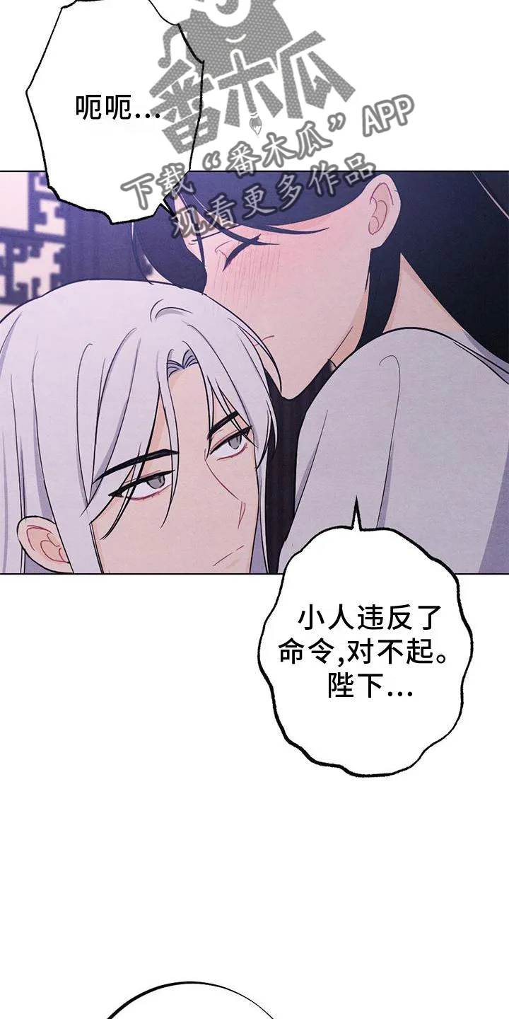 银狼的疼爱漫画漫画,第19章：命令29图