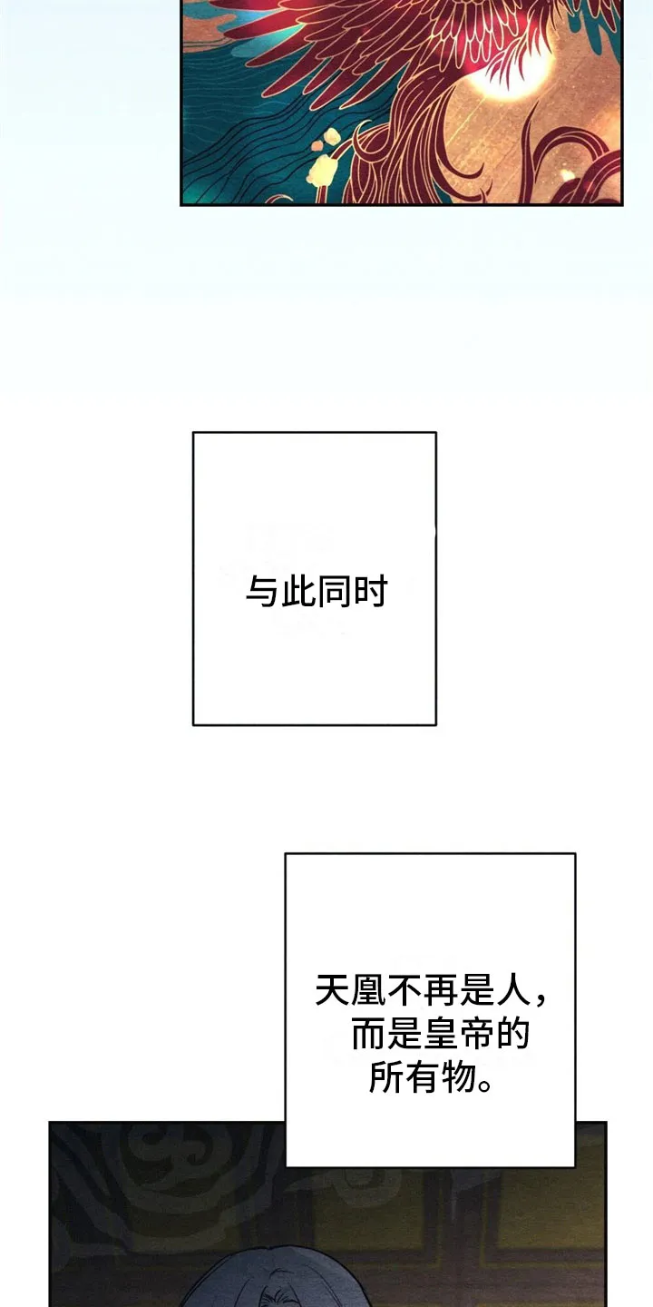 银狼的疼爱漫画漫画,第2章：天凰2图