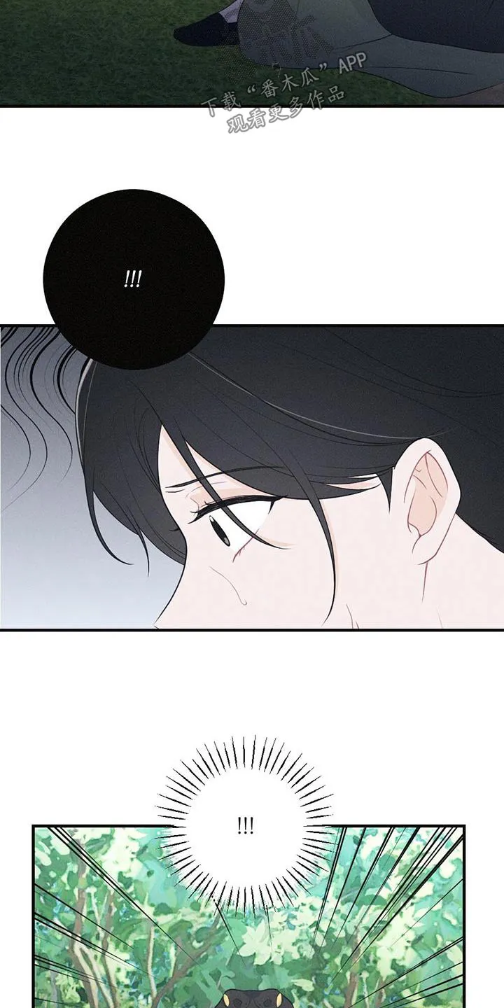 银狼的疼爱漫画76漫画,第95章：毒蛇18图