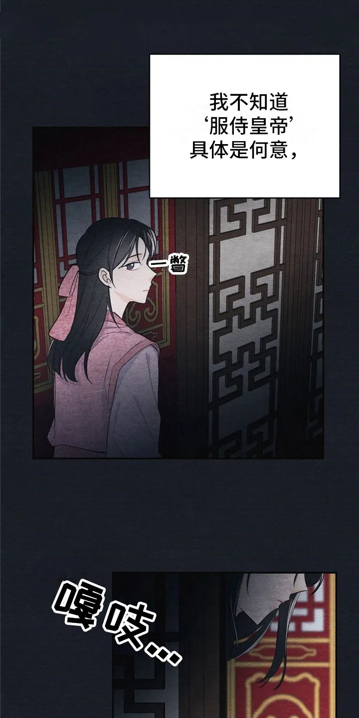 银狼的疼爱漫画76漫画,第1章：入宫11图