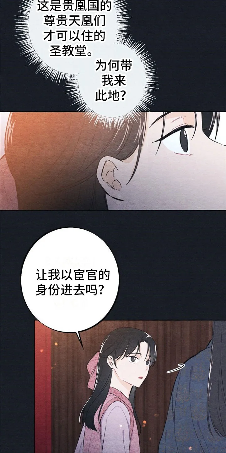 银狼的疼爱漫画76漫画,第1章：入宫4图