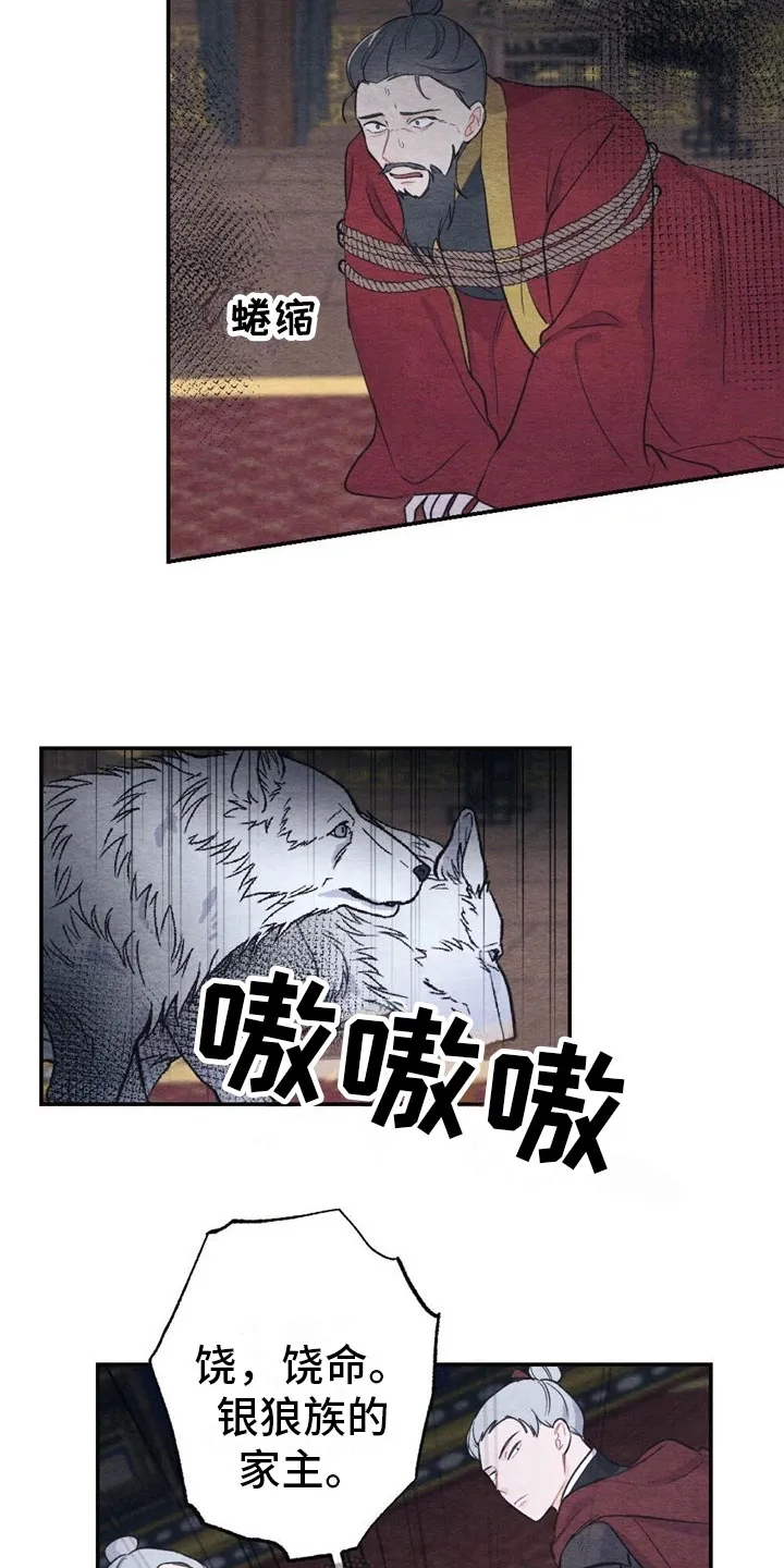 银狼的疼爱漫画漫画,第6章：回答5图