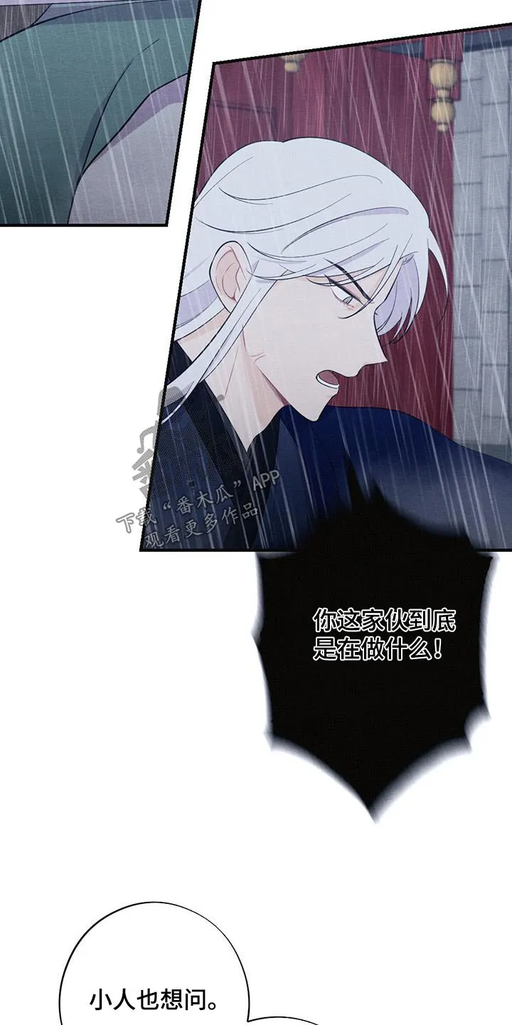 银狼的疼爱漫画漫画,第73章：领命11图