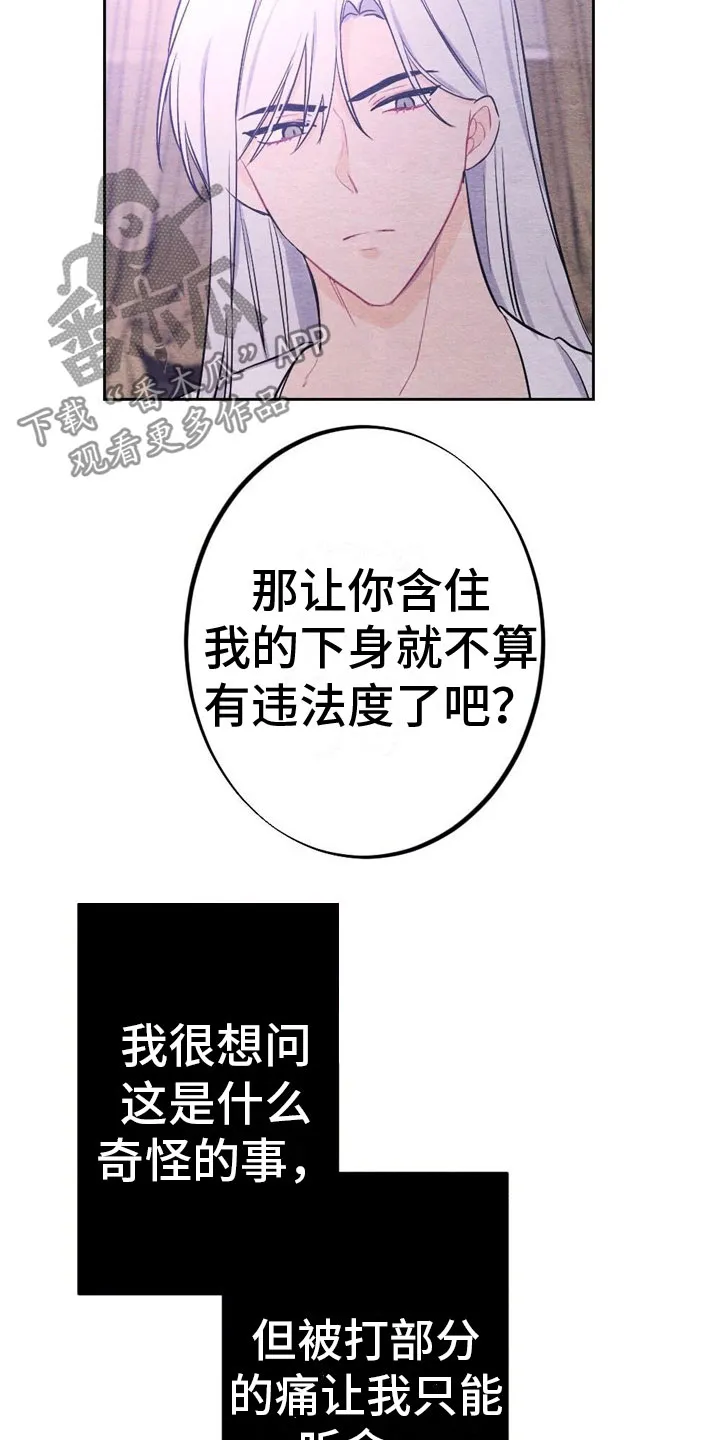银狼的疼爱漫画漫画,第12章：最后一次9图