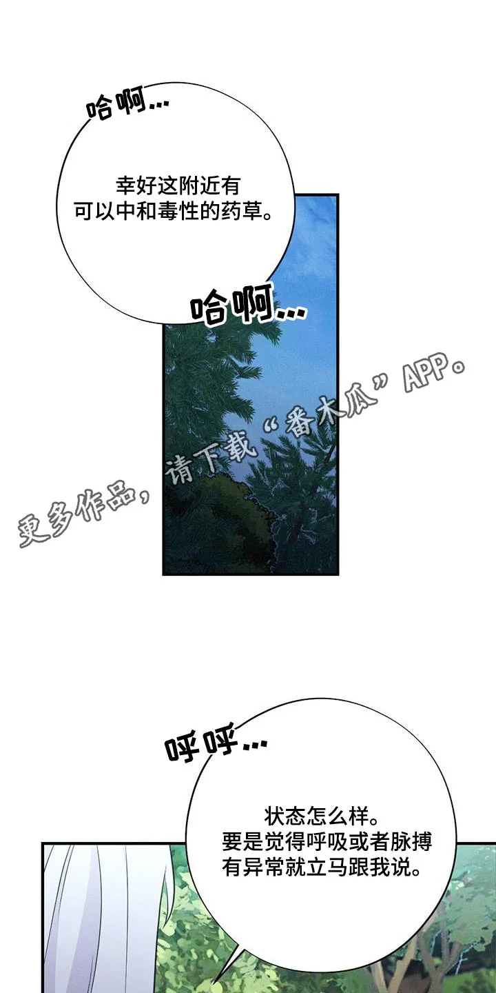 银狼的疼爱完整版漫画,第96章：救治1图
