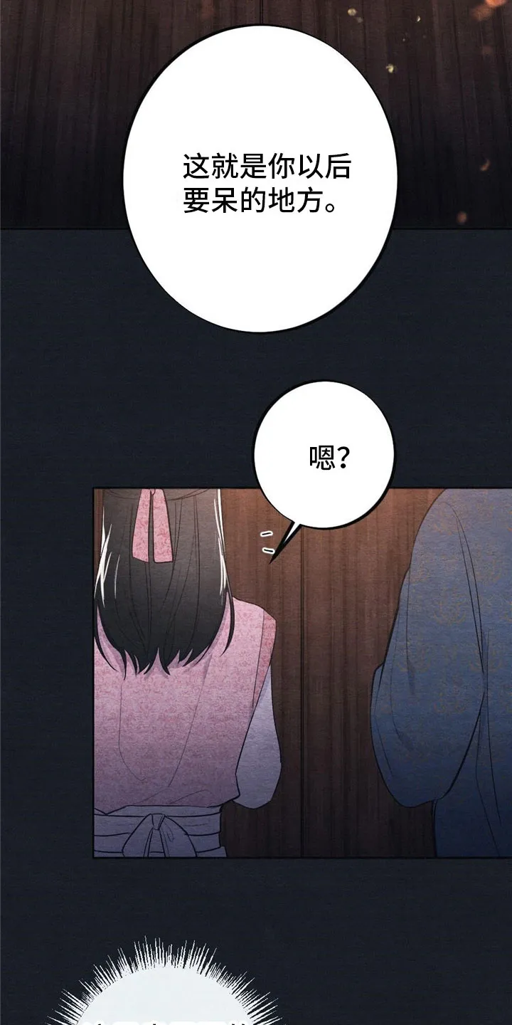银狼的疼爱漫画76漫画,第1章：入宫3图