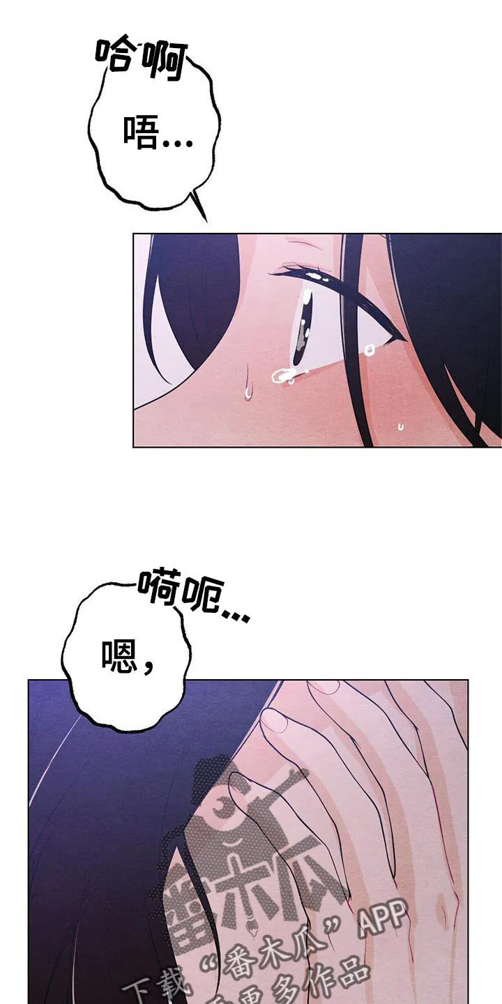 银狼的疼爱漫画漫画,第21章：熟悉7图