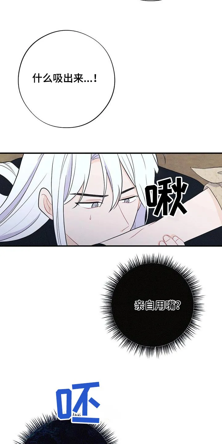 银狼的疼爱漫画76漫画,第95章：毒蛇29图