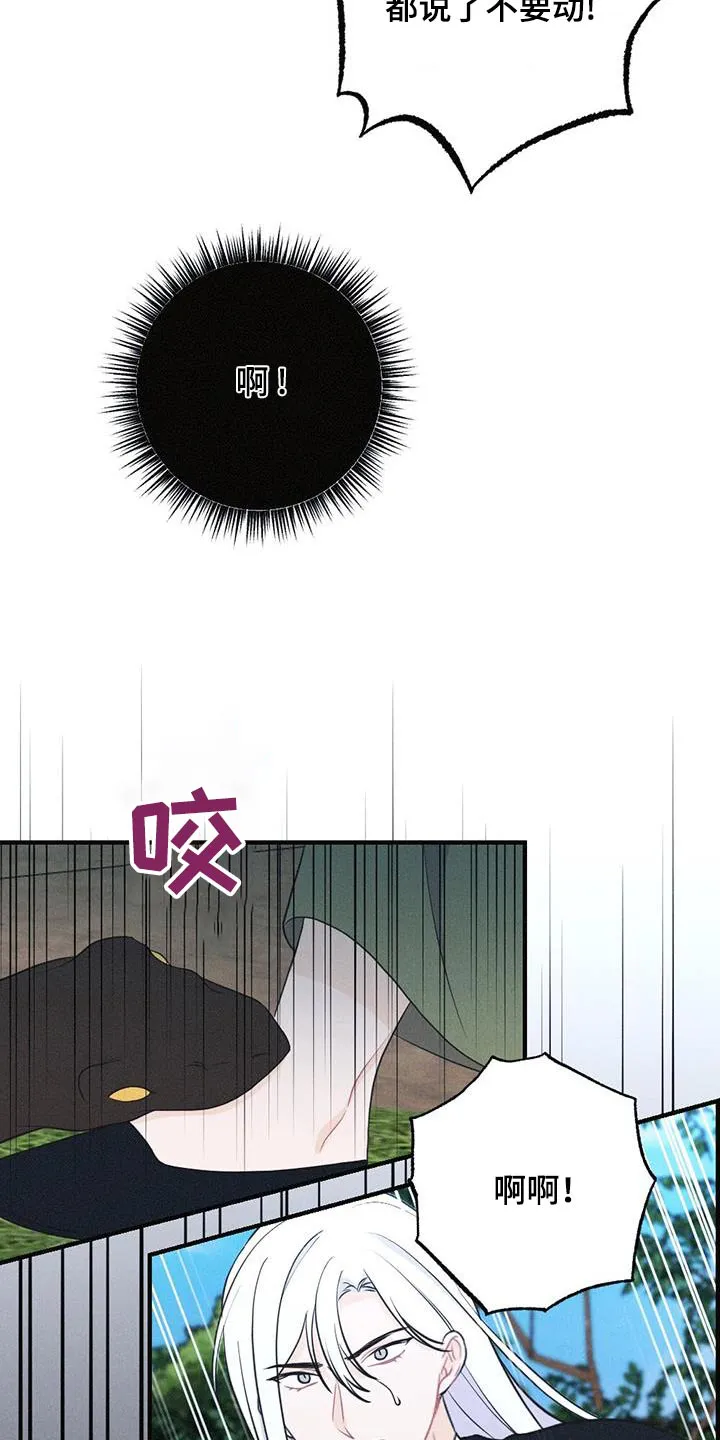 银狼的疼爱漫画76漫画,第95章：毒蛇23图