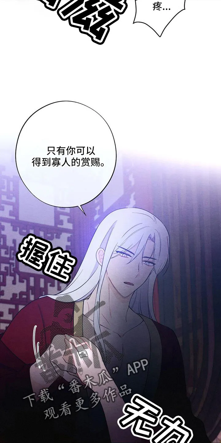 银狼的疼爱漫画漫画,第59章：是标记吗6图