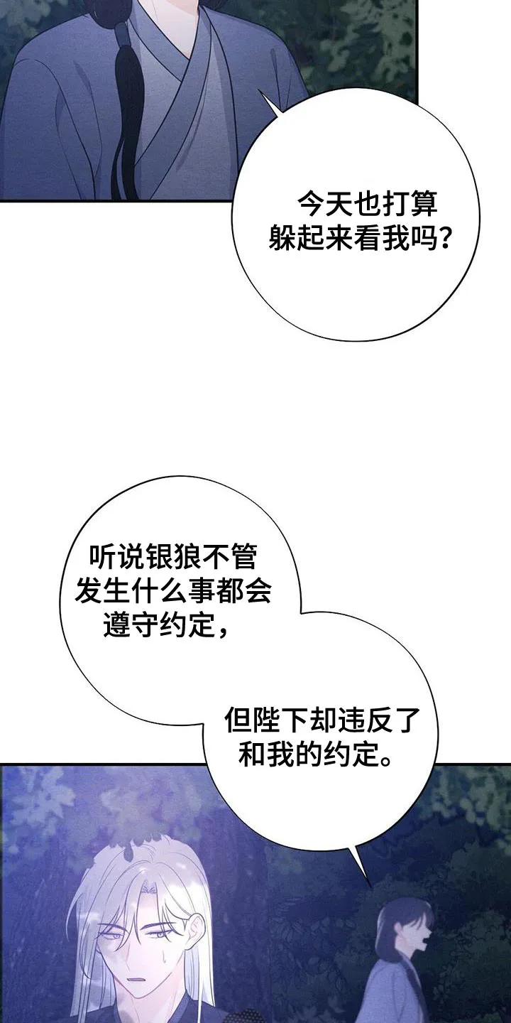 银狼少年漫画微博漫画,第98章：放弃8图