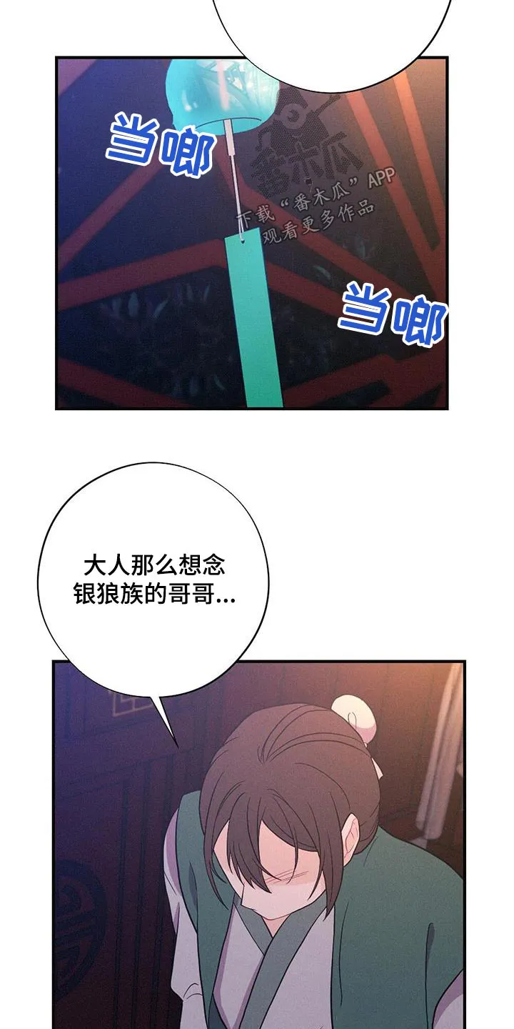 银狼的疼爱漫画漫画,第82章：爱慕14图