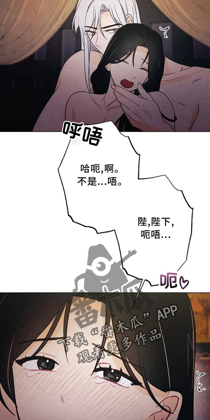 银狼的疼爱漫画漫画,第31章：感觉15图
