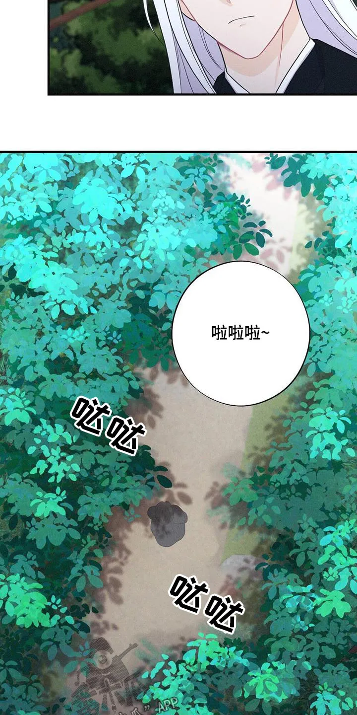 银狼的疼爱漫画76漫画,第95章：毒蛇13图