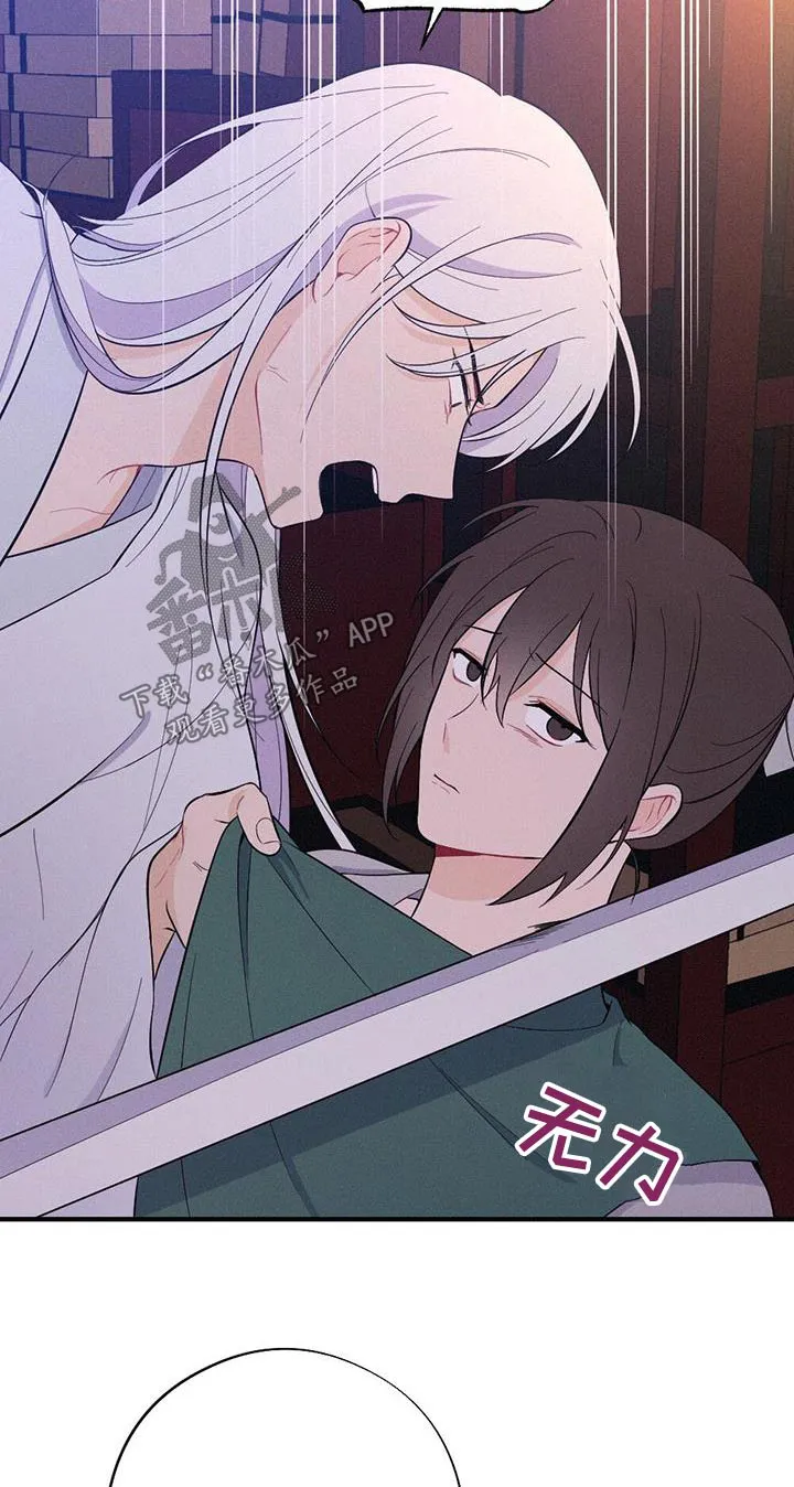 银狼的疼爱漫画漫画,第81章：解释11图