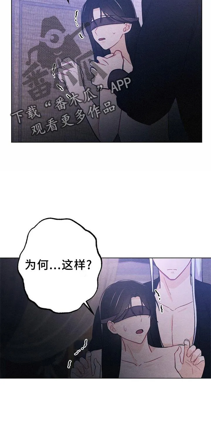 银狼的疼爱免费在线观看漫画,第41章：喜欢14图