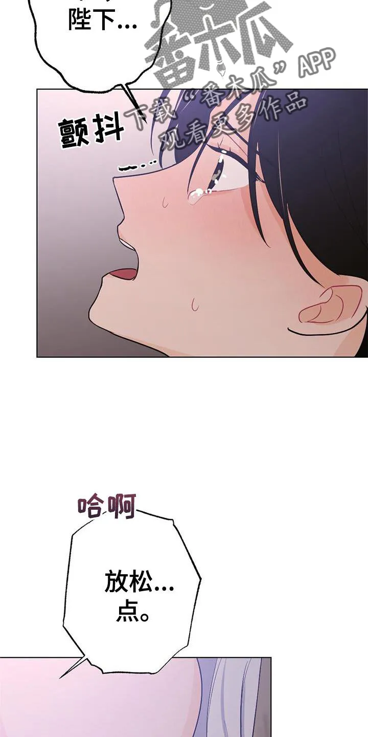 银狼的疼爱漫画漫画,第21章：熟悉16图