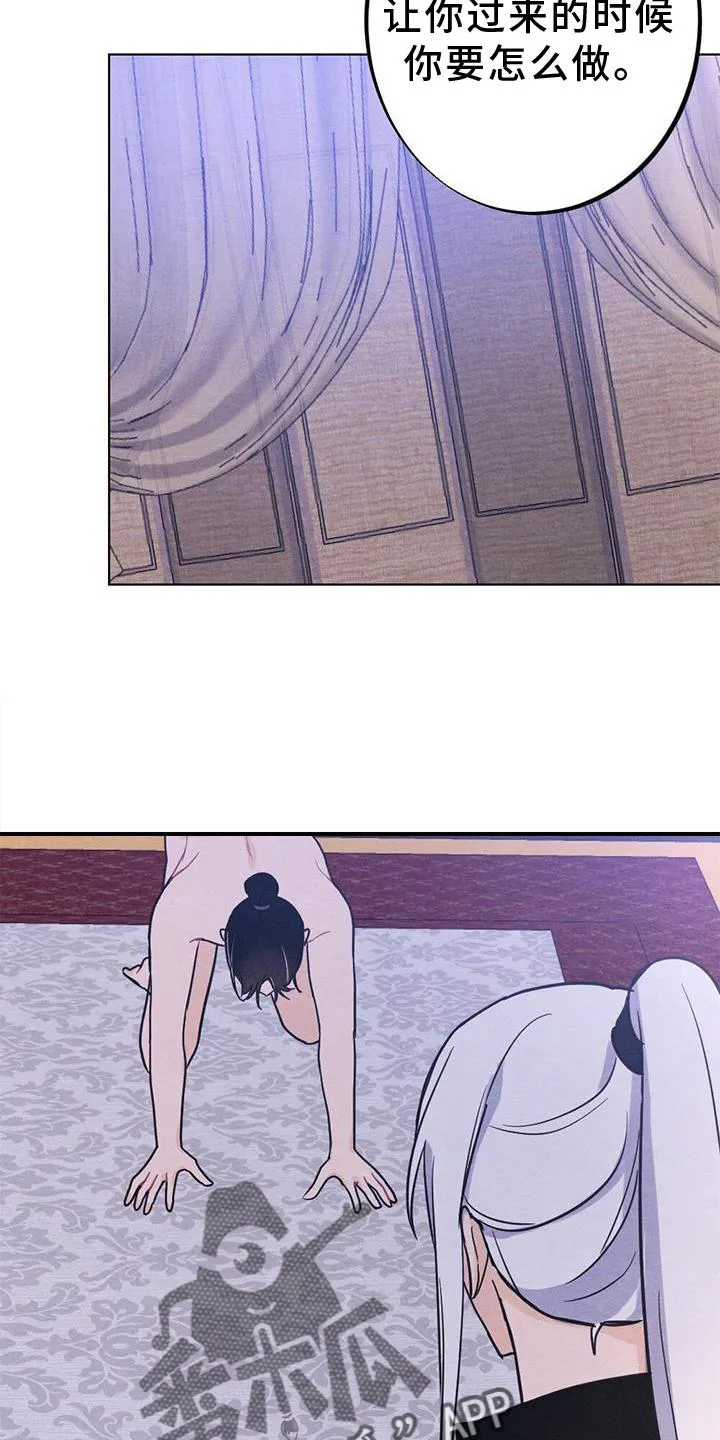 银狼的疼爱漫画漫画,第40章：表现2图