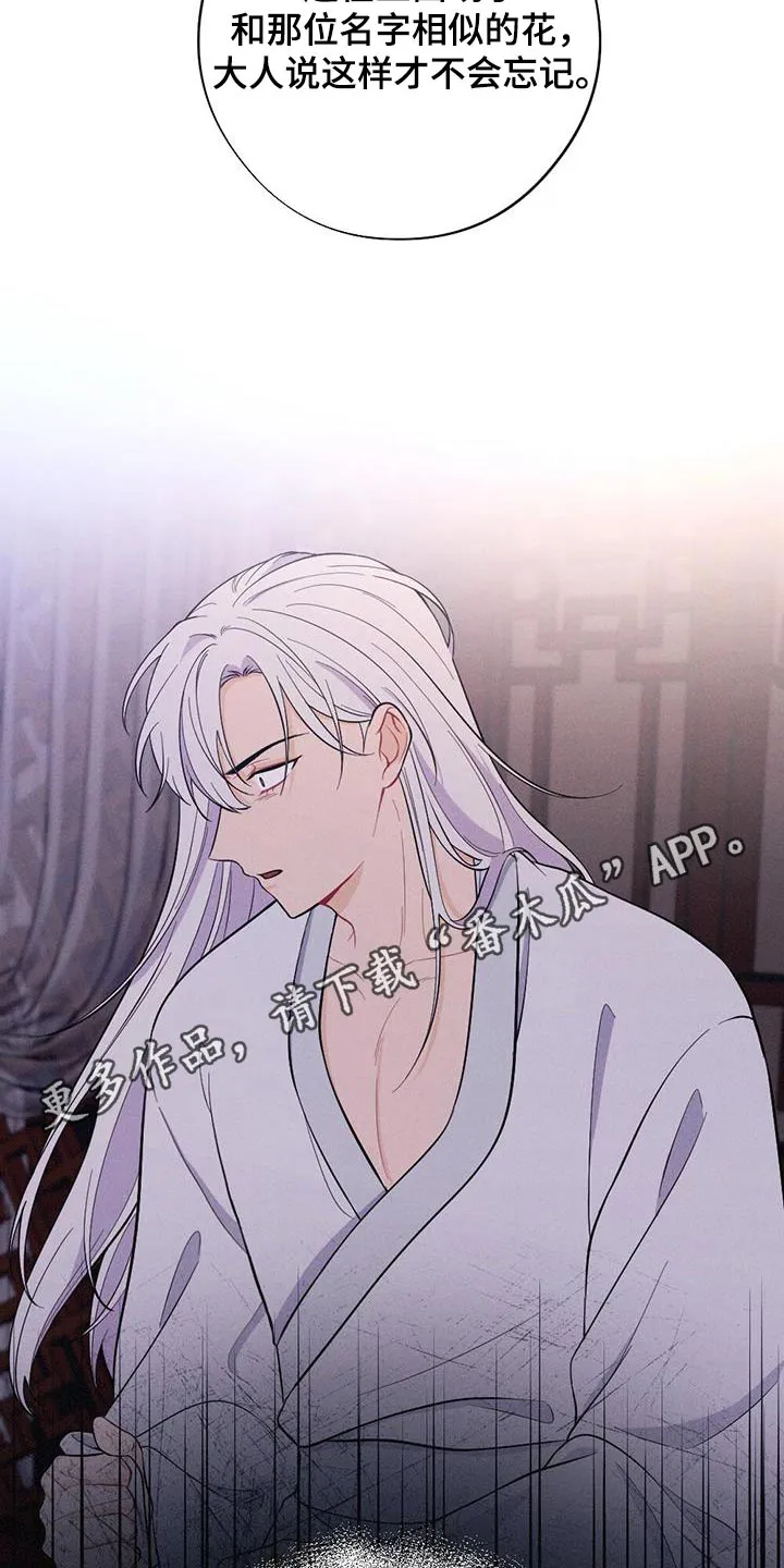 银狼的疼爱漫画漫画,第82章：爱慕22图