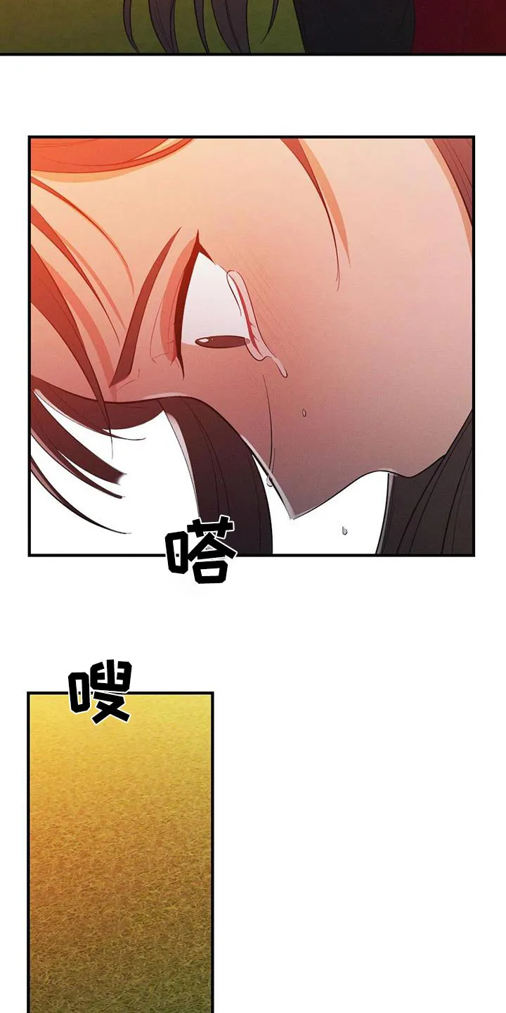 银狼的疼爱漫画漫画,第84章：爱慕33图