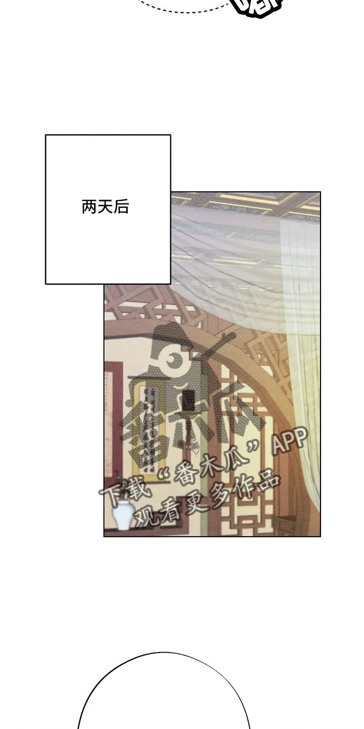 银狼的疼爱漫画漫画,第64章：书信8图