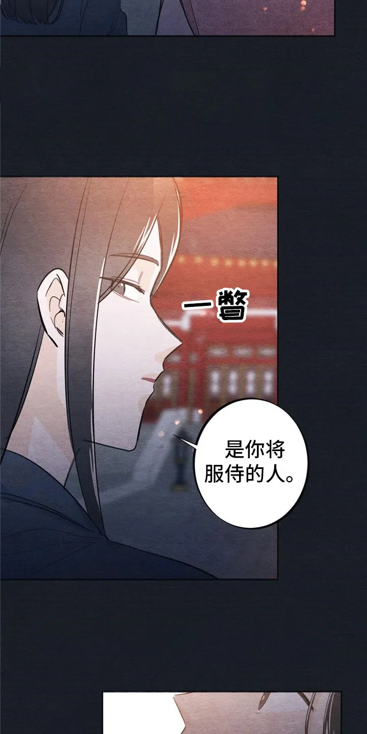 银狼的疼爱漫画76漫画,第1章：入宫9图