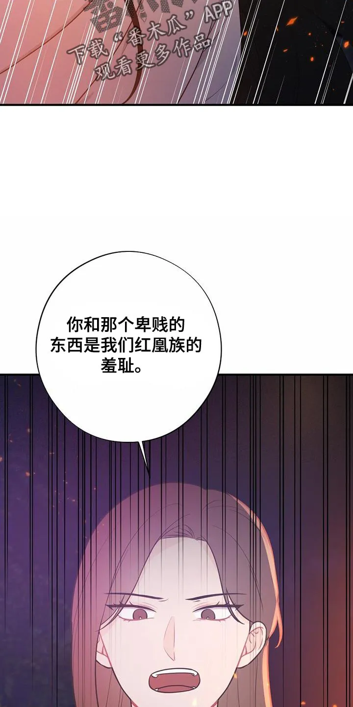 银狼的疼爱漫画漫画,第103章：我不能原谅！27图