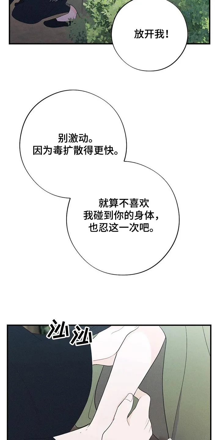 银狼的疼爱漫画76漫画,第95章：毒蛇27图
