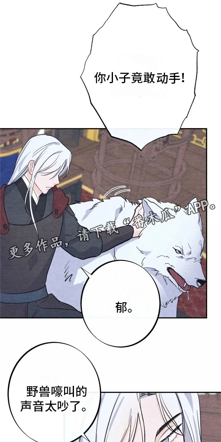 银狼的疼爱漫画漫画,第6章：回答1图