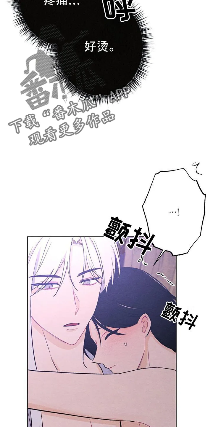 银狼的疼爱漫画漫画,第18章：擦药17图