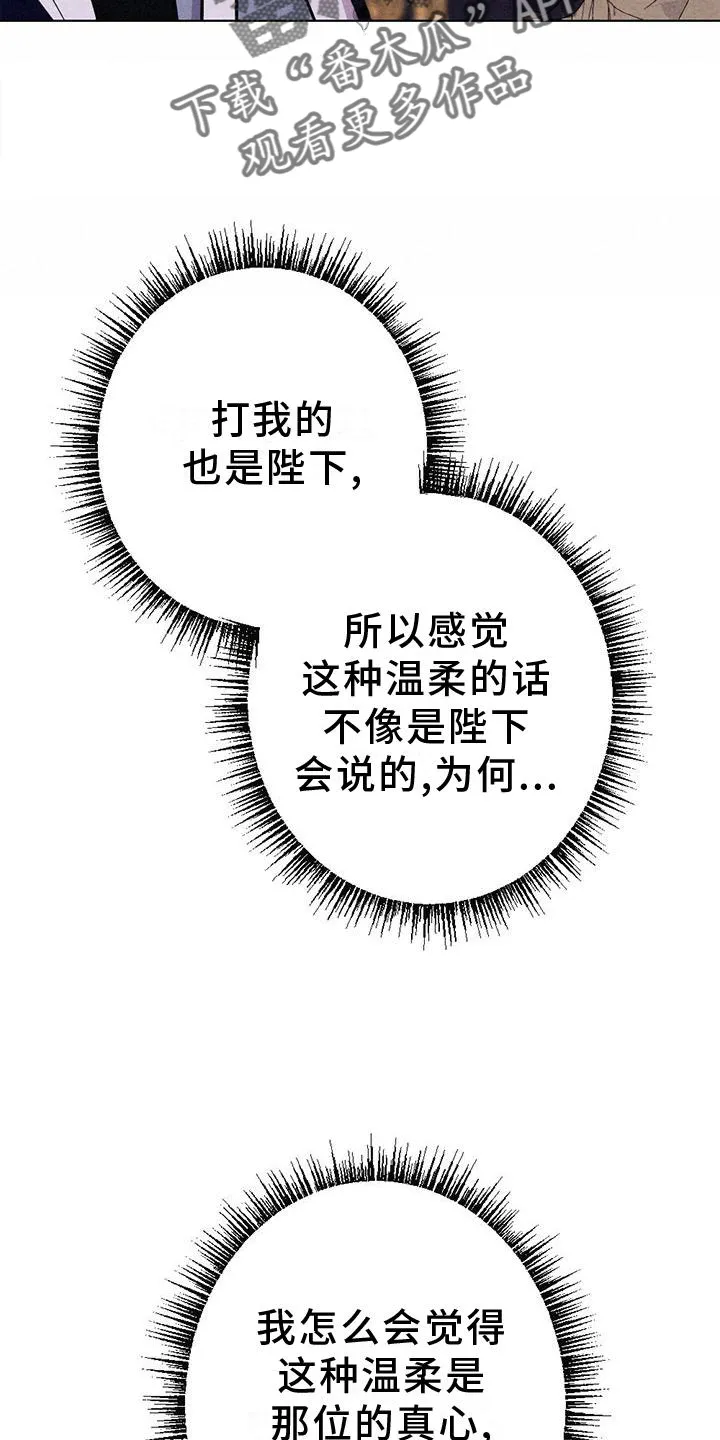银狼的疼爱漫画漫画,第19章：命令6图