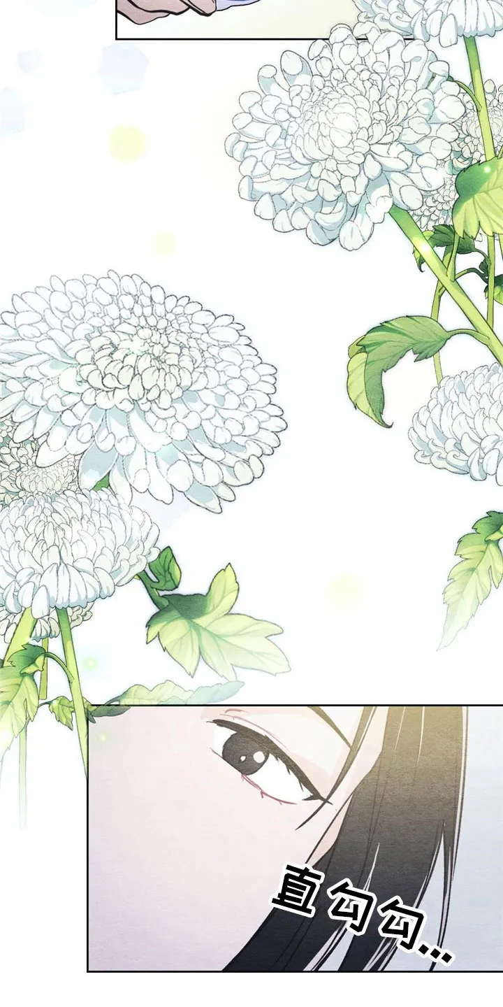 银狼的疼爱漫画漫画,第2章：天凰9图