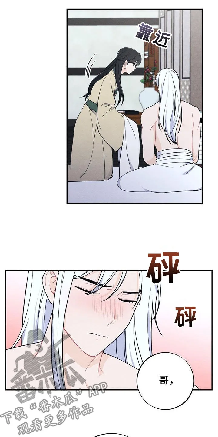 银狼的疼爱完整版漫画,第116章：因你而起11图