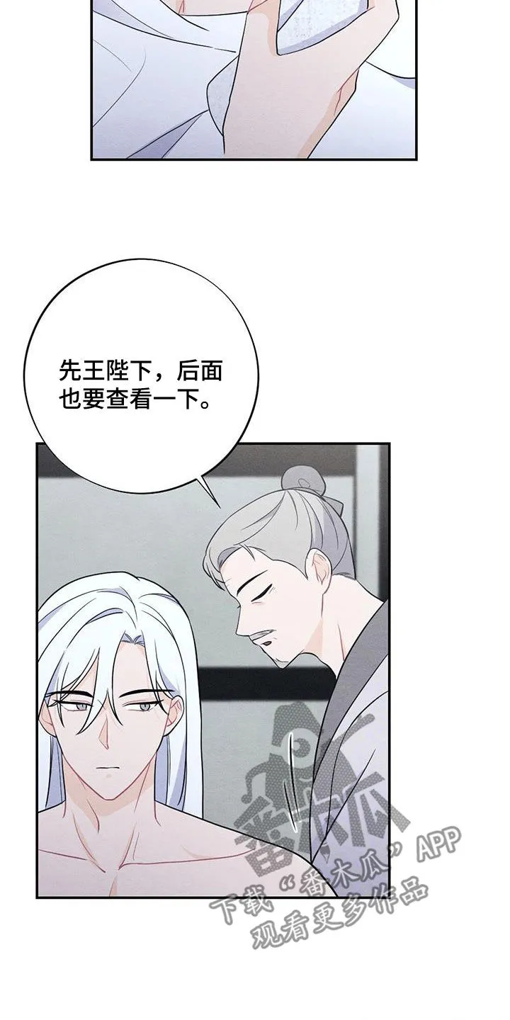 银狼的疼爱漫画漫画,第115章：上药13图
