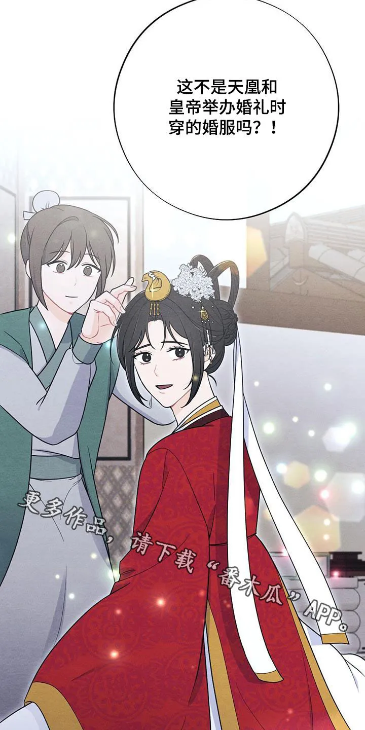银狼少年漫画免费观看38话漫画,第121章：婚礼23图