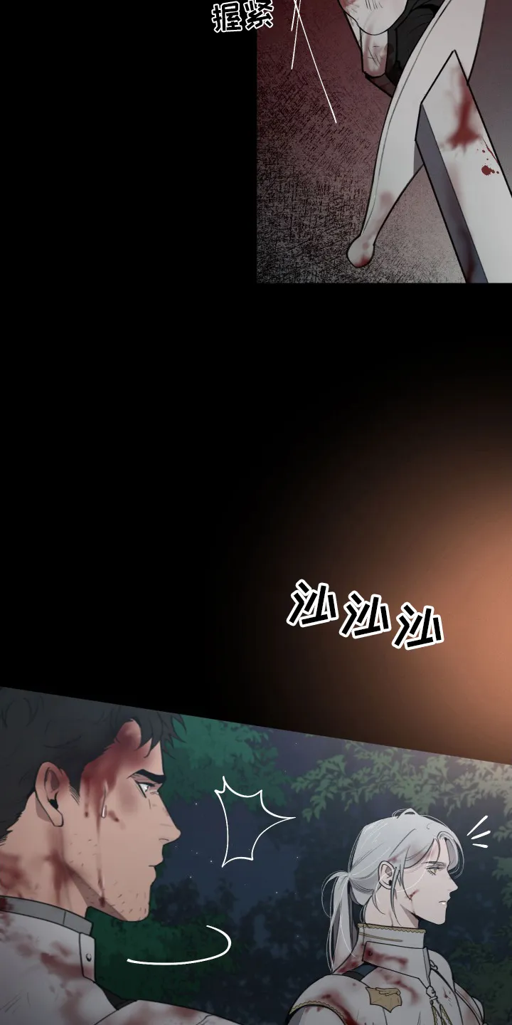 大公子免费阅读漫画,第40章：攻陷16图