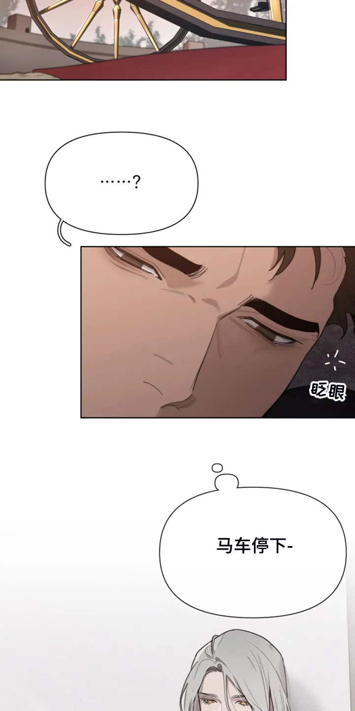 大公子的玩物漫画完整版漫画,第48章：上马车16图