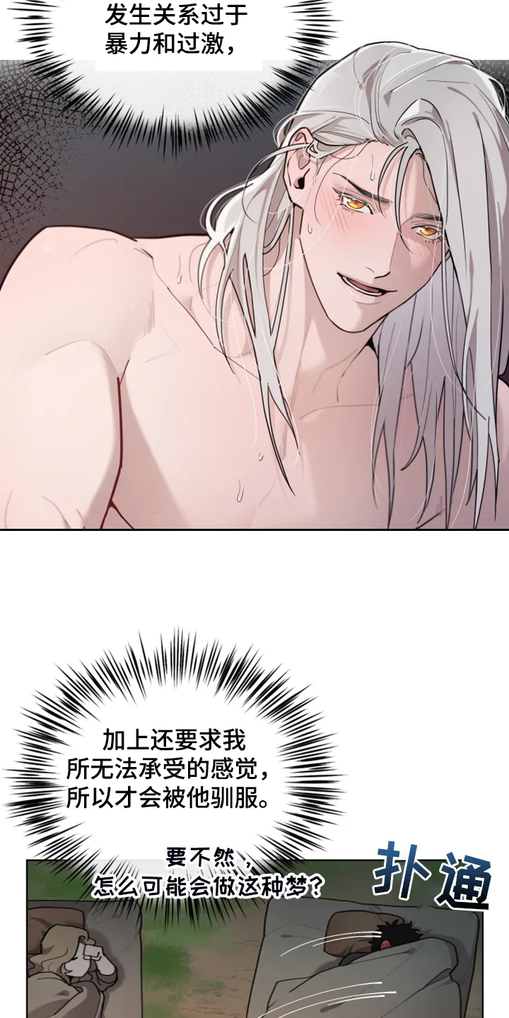 大公子的玩物漫画免费完整版下拉式漫画,第53章：奇怪的梦19图