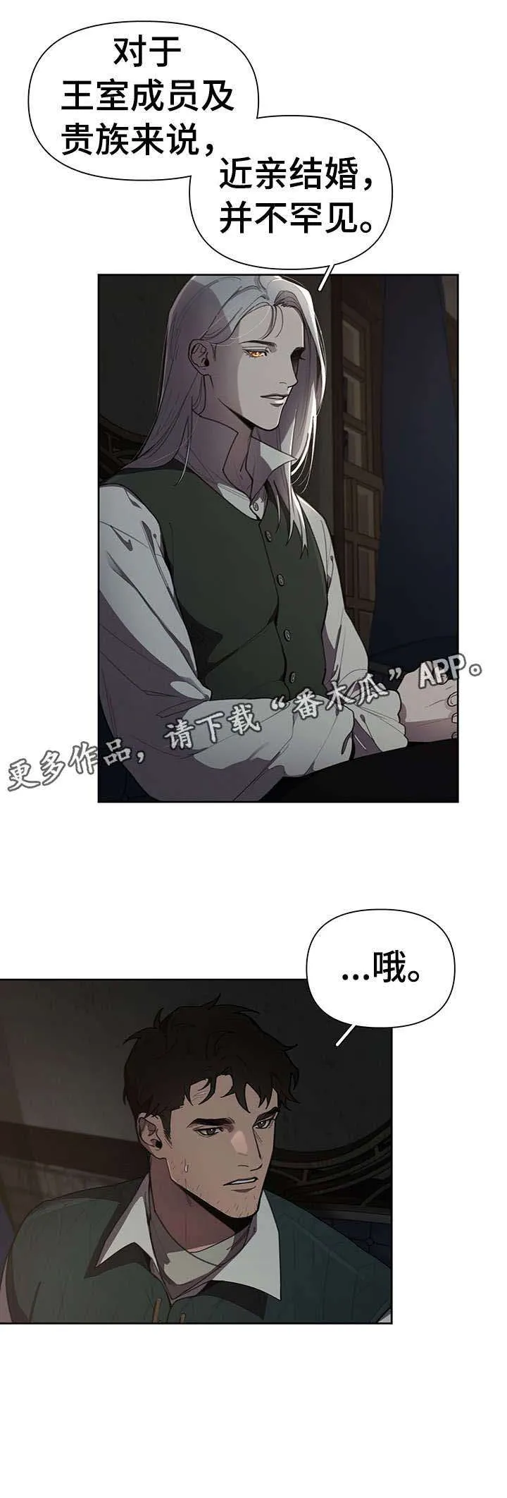 大公子的玩物漫画漫画,第13章：什么意思7图