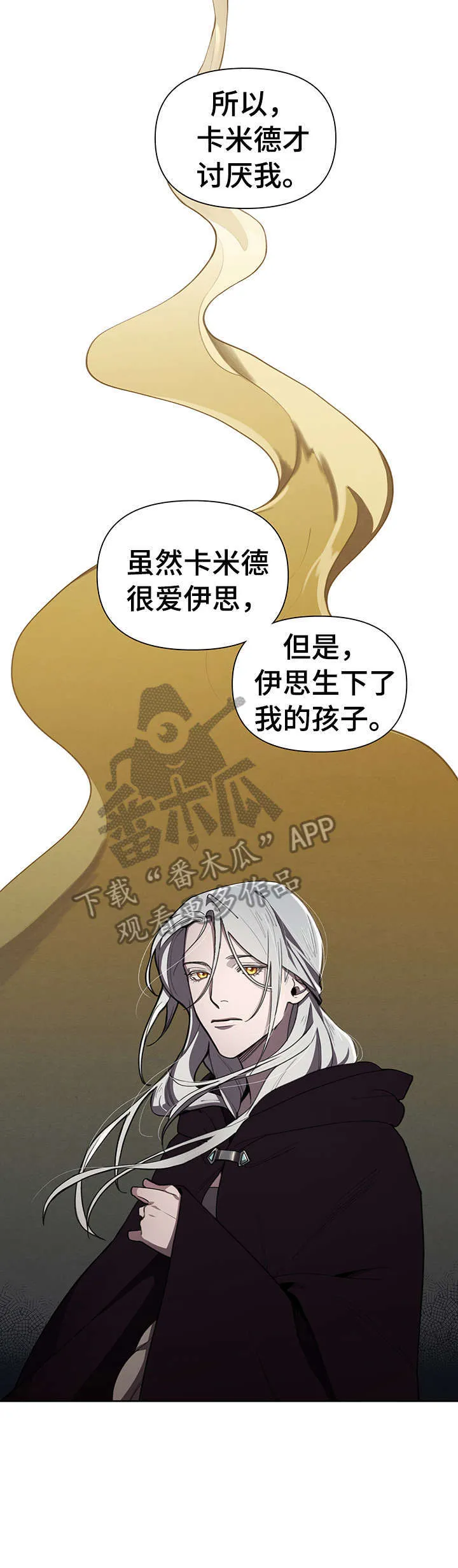 大公子的玩物漫画漫画,第13章：什么意思11图