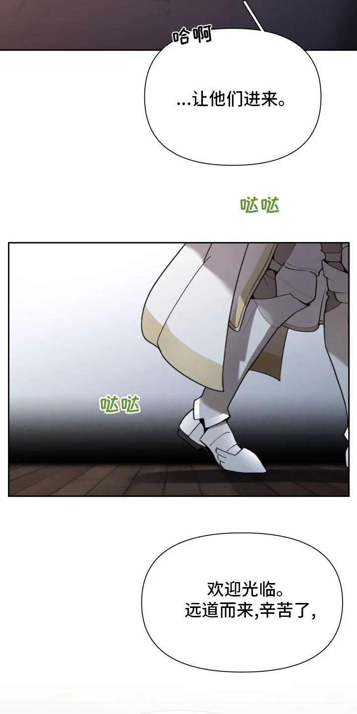 大公子的玩物漫画漫画,第43章：大公的儿子2图